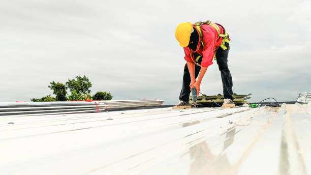 Gutter Replacement in Des Plaines, IL