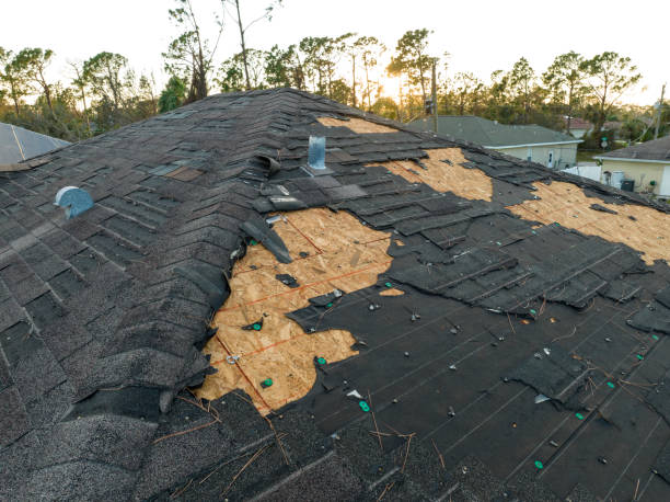 Best Emergency Roof Repair Services  in Des Plaines, IL