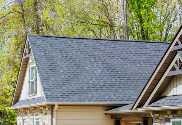 Best Roof Ventilation Installation  in Des Plaines, IL